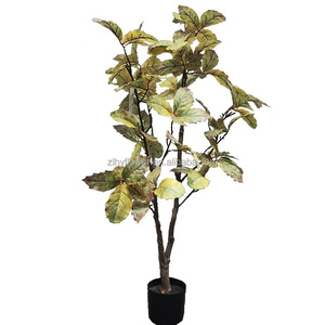 Arbre Bonsaï Artificiel de Hêtre Populaire 1,2 m (4FT) en Matériau PEVA pour Décoration de Magasin, Hôtel, Bureau, Bibliothèque, Maison et Aménagement Paysager - Product Image 1