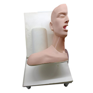 Modèle de démonstration avancé du mécanisme de mastication et de respiration ; Modèle avancé du mécanisme de mastication ; Mastication humaine - Product Image 1