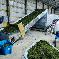 Séchoir à bande continue pour herbes, plantes, fleurs, feuilles et herbes aromatiques – Déshydrateur de chanvre