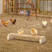 Perchoir en bois pour poussins, support autoportant pour l'entraînement, barre carrée en bois massif, pour l'exercice au sol dans le poulailler