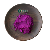 Poudre de fruit du dragon lyophilisée, poudre de pitaya naturelle, fournisseur en gros, poudre de jus de fruit du dragon rouge pour boissons, smoothies et pâtisseries