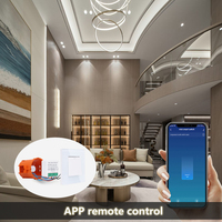 Bingoelec 16A Smart Domotique 2 gang Contrôle Mini Tuya Smart Wifi puissance interrupteur module avec neutre