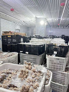 <span class=keywords><strong>Chaoshan</strong></span> ลูกชิ้นเนื้อแช่แข็งเนื้อวัว90% แบรนด์ดังสำหรับซูเปอร์มาร์เก็ตขนาดใหญ่ - Product Image 4