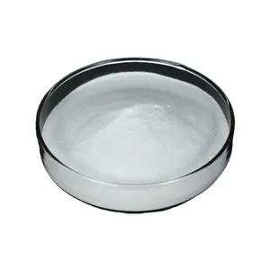 Hydroxypropyl Starch Ether Hps Powder Thickener for Cement Dry Mortar Plaster Tile Adhesion Wall Putty Construction Chemistry