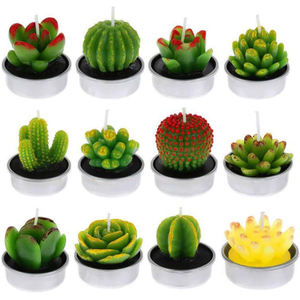<span class=keywords><strong>Kit</strong></span> de bougies de plantes de Cactus succulentes décoratives, mignonnes bougies sans fumée, parfaites pour le Festival, les accessoires de mariage, la fête à la <span class=keywords><strong>maison</strong></span> - Product Image 2