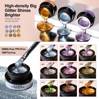 R S Nail Wholesale Hema Free Platinum Cat Eye Gel 12 Couleurs Holographic Glitter Shimmer Magnet Gel Polish