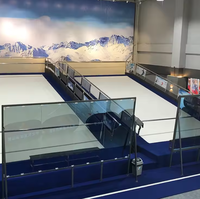 Tapis de ski sec à aiguilles personnalisable pour le ski et le snowboard, vente directe d'usine, piste de ski sec