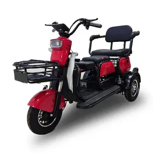 Tricycle électrique pour adultes, accessoires de véhicule, frein à tambour, phares à Led, Design populaire