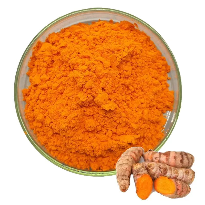 100% poudre de curcuma Pure acheteurs poudre de curcuma biologique