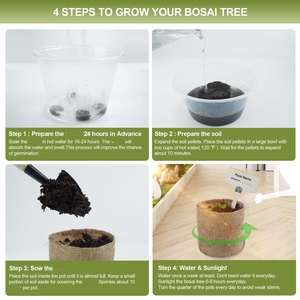 Kit de démarrage pour bonsaï <span class=keywords><strong>japonais</strong></span> en bambou carré 5X avec pots d'intérieur/extérieur pour la culture de bonsaïs à la maison ou au <span class=keywords><strong>jardin</strong></span> - Product Image 5