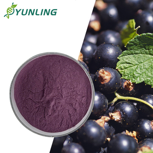Bubuk Ekstrak Blackcurrant Kering Grosir Kualitas Makanan - Product Image 1