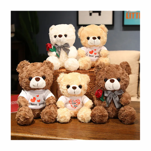 Kawaii 20Cm 25Cm Knuffel Teddybeer Hart Ik Hou Van Je T-Shirt Rose Valentijnsdag Pluche Teddybeer - Product Image 1
