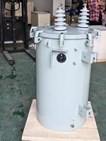 Transformateur monophasé immergé dans l'huile de 25 kVA, monté sur poteau, avec enroulement en cuivre pour la distribution d'énergie en Amérique latine