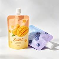 Pochettes à bec verseur personnalisées avec logo imprimé en gravure, réutilisables, en PE/MOPP, résistantes à l'humidité, pour jus, sodas et boissons, 500 ml, sacs à liquide