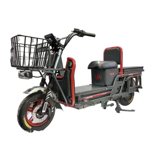Scooter électrique Cargo haute vitesse 100W/3000W portée 40-60km vélo électrique adulte vélo de rue 2000W motos électriques CKD SKD - Product Image 1