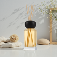 Bouteilles en verre de diffusion et de parfum personnalisables, vente en gros avec boîtes et bâtons de diffuseur