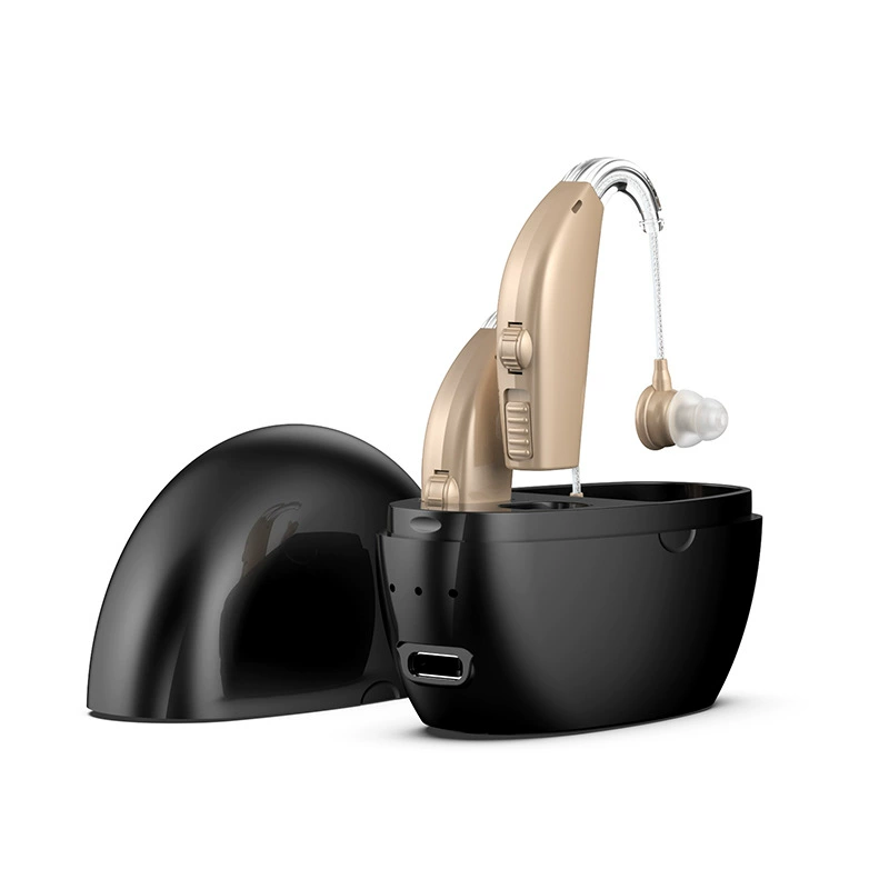 Rexton Arena P1 P3 HP3 Rechargeable