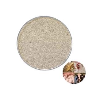 Saccharomyces Cerevisiae vivantes <span class=keywords><strong>de</strong></span> <span class=keywords><strong>levure</strong></span> sèche <span class=keywords><strong>active</strong></span> pour des additifs d'alimentation des animaux - Product Image 4