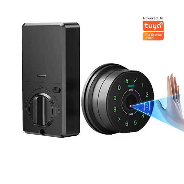APP Controlled Zinc Alloy Smart Lock Memory Card Alexa Google Assistant Compatible Interior Entrance Keypad Deadbolt Lock Handle