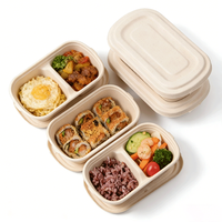 Boîte à lunch compostable en paille de blé avec couvercle, boîte bento jetable à 2 compartiments, récipient alimentaire écologique pour emporter