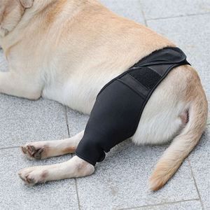 Pet Furniture Adjustable Breathable Pet Knee and <b>Thigh</b> Brace for Dogs - Joint Injury Recovery and Post-Surgery Immobilization - Product Image 2