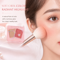 Kit de maquillage portable pour femmes, poudre lissante soyeuse, blush et illuminateur personnalisés avec logo, effet lumineux, vente en gros