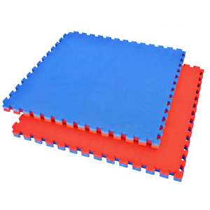 Tapis de sol en mousse EVA emboîtables pour arts martiaux, 100x100cm, 2.5cm, imperméables, pour Judo, Jiu-Jitsu, salle de sport - Product Image 1