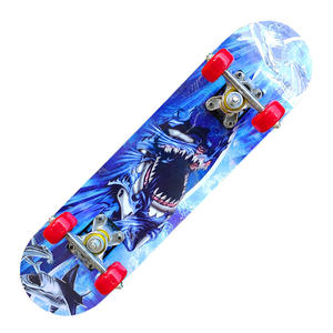 สเก็ตบอร์ด Like The Wind Cruiser รุ่น 2406A ทำจากไม้เมเปิลและอะลูมิเนียมอัลลอย ทนทาน เหมาะสำหรับเด็ก สไตล์สปอร์ต - Product Image 1