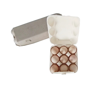 Tái Chế Giấy Bột Giấy Trứng Khay/Trứng Hộp/Trứng Carton Máy - Product Image 4