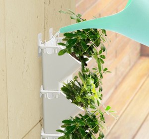 Forest Box Patent Hanging a parete auto-innaffiante vaso di fiori in plastica stile minimalista serra decorazione per la casa per il giardino - Product Image 2