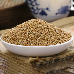 Yunnan semi di senape essiccati e secchi semi di senape piccanti bianchi all'ingrosso tipo di lavorazione cruda - Product Image 4