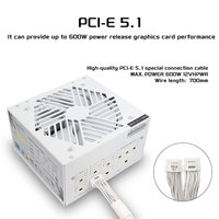 TFDP 500W 600W 700W 800W 1000W 80PLUS Gold Tam Modüler Beyaz PC Güç Kaynağı, Oyun Bilgisayarı ATX Güç Üniteleri Sunucu için