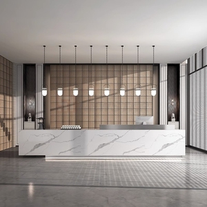 KHÁCH SẠN bệnh viện văn phòng trung tâm mua sắm phòng tập thể dục tiệm quán bar Spa tiếp tân phong cách hiện đại tùy chỉnh bàn tiếp khách - Product Image 1