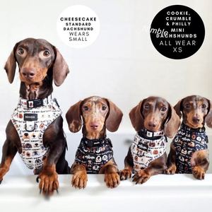 OEM & ODM kustom tali anjing peliharaan tali mewah besar dapat disesuaikan dan Set tali Neoprene bahan fitur personalisasi - Product Image 6