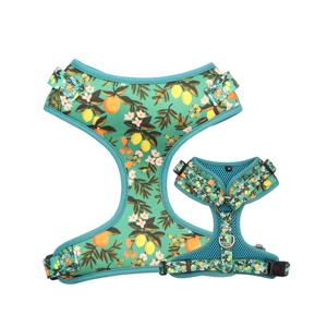 OEM 6 pezzi Set collare guinzaglio regolabile tattico personalizzato reversibile piccolo gilet morbido Designer senza imbracatura per cani Pull - Product Image 6