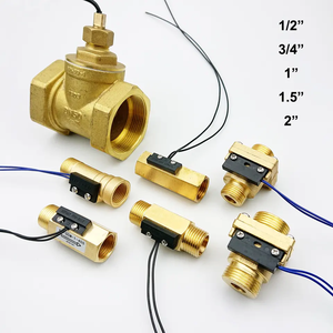 FS-2S เซ็นเซอร์การไหลของน้ำ SUS304สแตนเลส1/4นิ้วสวิตช์การไหลของน้ำต่ำ - Product Image 5