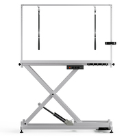 Vente en gros, table de toilettage électrique avec lumière LED pour animaux de compagnie, table de toilettage pour grands chiens, table de toilettage pour animaux de compagnie