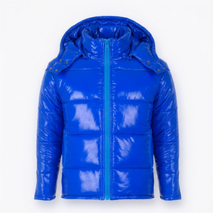 Blouson matelassé à capuche pour homme, couleur unie bleu, imperméable, fermeture éclair, manteau d'hiver décontracté, rembourrage polyester, coupe classique 2026 - Product Image 1