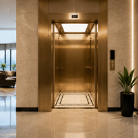 Ascenseur à traction sans engrenages pour maison 5 étages / Ascenseur électrique 8 passagers pour hôtel, immeuble de bureaux