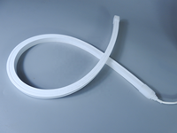 Bande lumineuse LED néon pleine couleur IP68 avec bande flexible à changement de couleur, corps en silicone, 12V/24V pour piscine