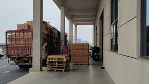 Suplemento Dietético Líquido Vegano de Alta Calidad Más Vendido con <span class=keywords><strong>Complejo</strong></span> de Vitamina <span class=keywords><strong>B</strong></span> Sin Aditivos - Product Image 6