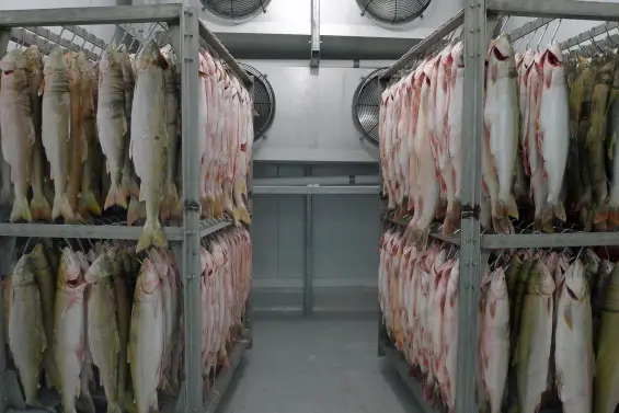 Sala de refrigeración para carne y pescado, habitación fría