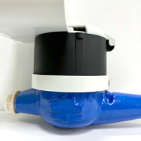 Medidor de Agua Inteligente con Transmisión Remota, NB-IoT/4G/LoRa, IP68, Tipo Compuesto (Carátula Seca)