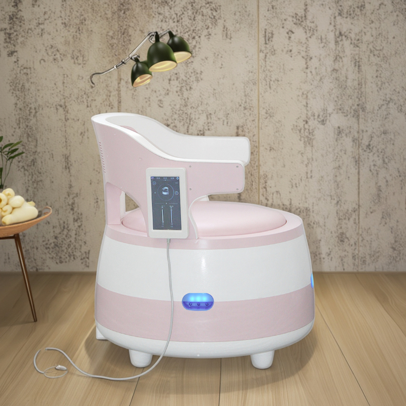 Professional EMS Postpartum Repair Pelvic Floor