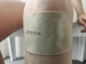 [Pain Study] Institute Muscle Extra Large (5 feuilles) relaxant musculaire apaisant écologique pour les employés de bureau, usage minimal clinique - Product Image 4