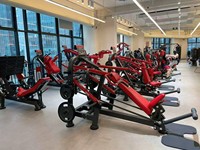 Máquina de Remo con Asiento de Acero Panata 2026, Tendencia en Fitness, para Entrenamiento Profesional