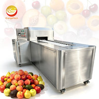 ORME Perzik Gedroogde Pruimen Pitverwijderingsmachine Fruitpitverwijderingsmachine Kersenpitverwijderingsmachine