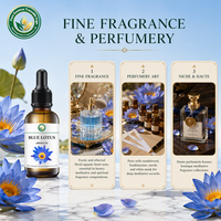 Parfumerie fine, Absolue de lotus bleu (Nymphaea Caerulea) pour la formulation de parfums professionnels et la création de fragrances