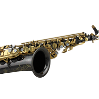 Superior Quality Woodwind Instrument EB Tone Alto Saxophone with Brass Body Performance Use