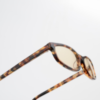 Nouvelles Lunettes de Soleil Unisexe en Acétate 2026, Forme Ovale Rétro, Logo Personnalisé, OEM ODM, Vente en Gros